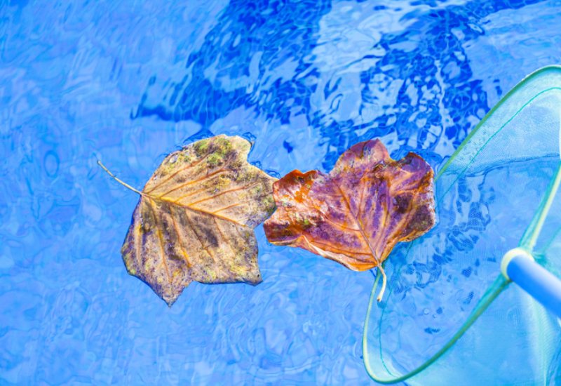 pool-leaf-removal-tips-by-millennium-pools-spas