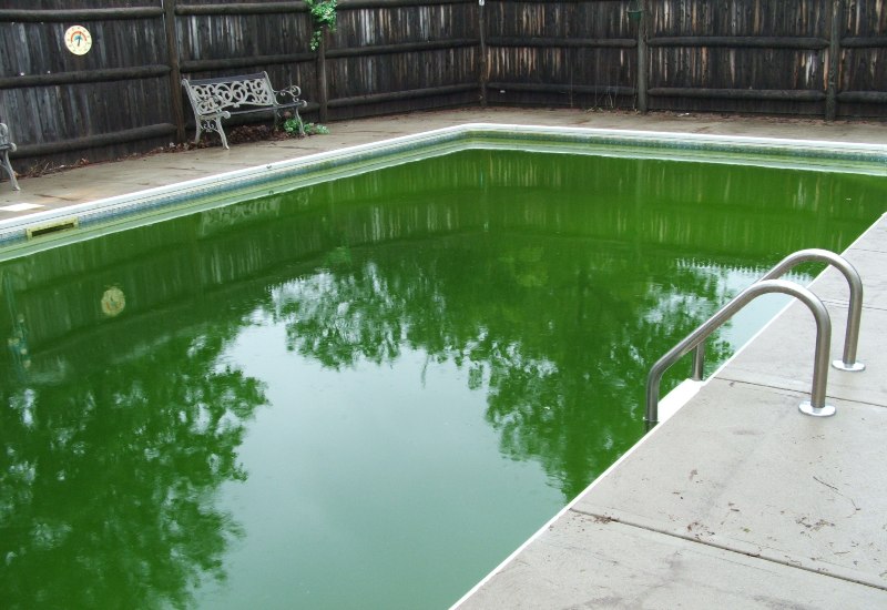 Understanding Green Pool Water by Millennium Pools & Spas in Virginia & Maryland